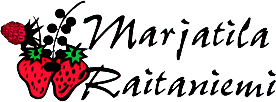 RAITA-6420616471126-1.png